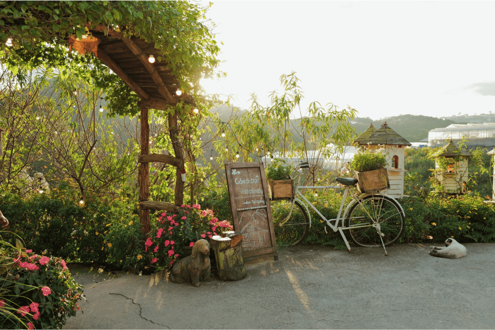 Nhà Bên Rừng là điểm đến dành cho những tín đồ yêu cây cỏ, hoa lá và thú cưng (Nguồn: Fanpage Tiệm cà phê Nhà Bên Rừng)